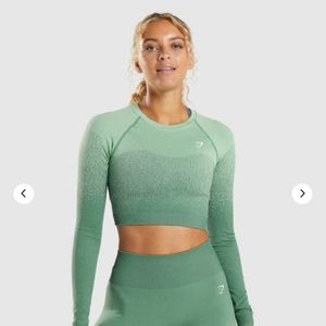 Adapt Ombre Seamless Long Sleeve Crop Top Size M
